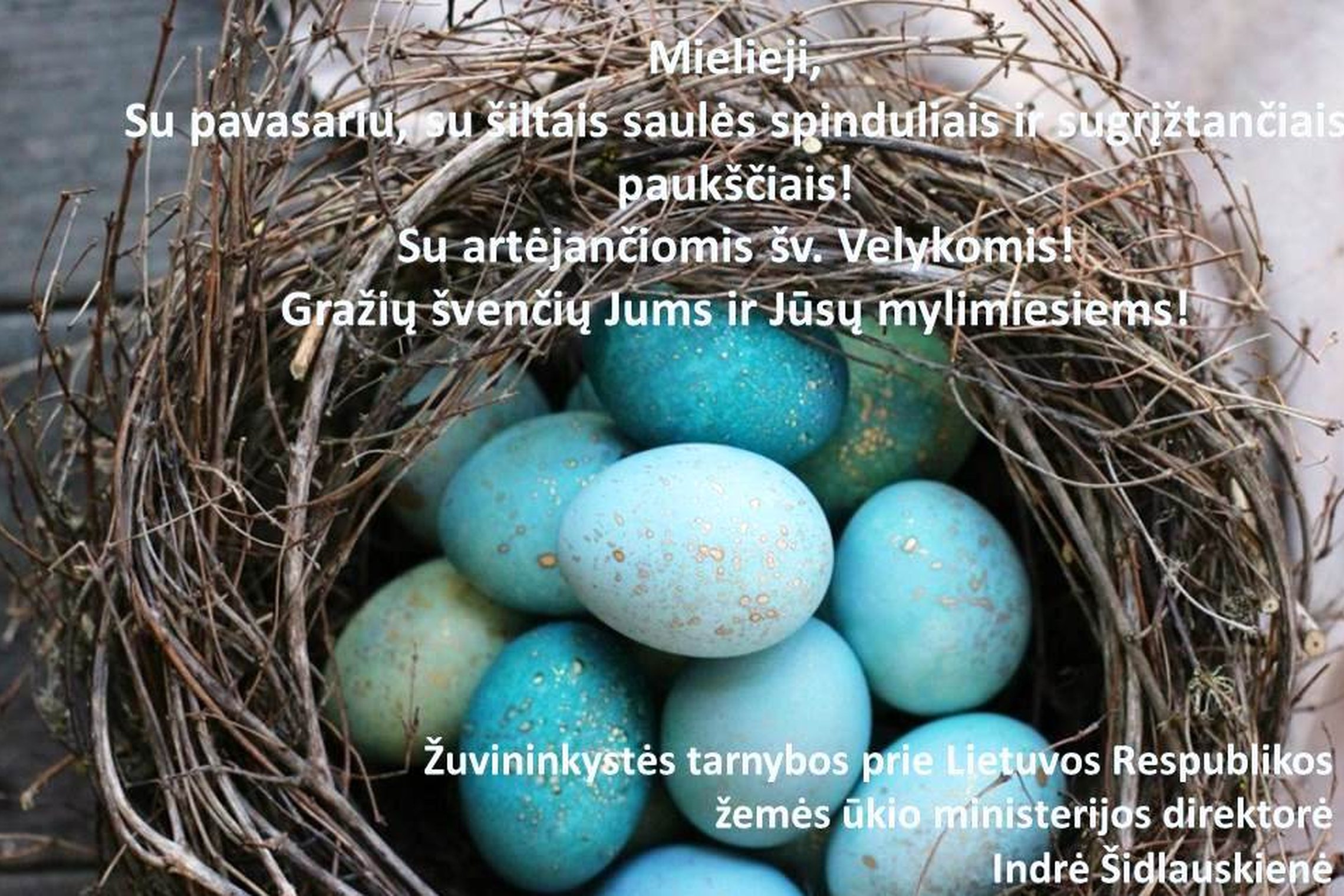 Iliustracija