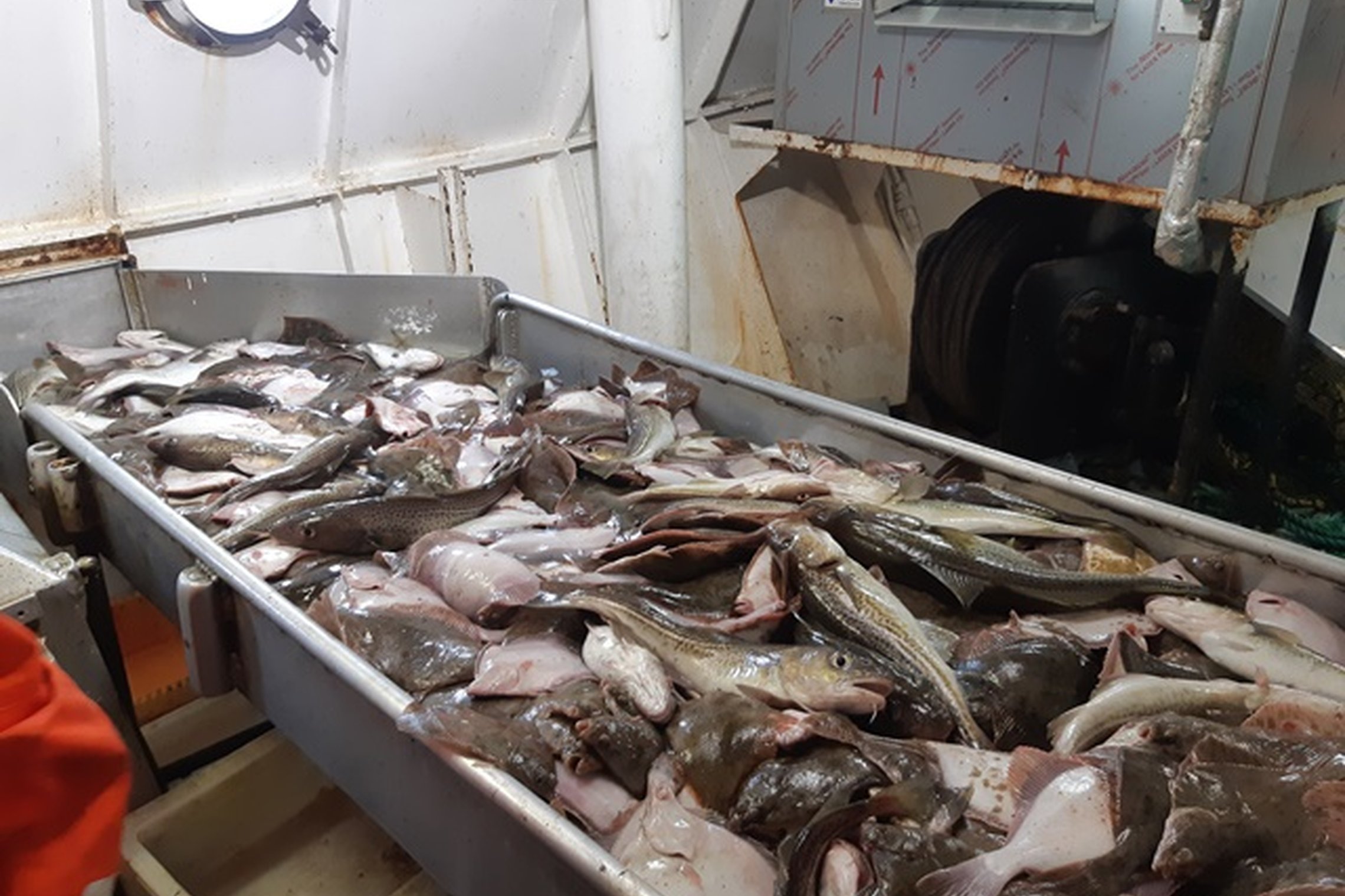 Iliustracija