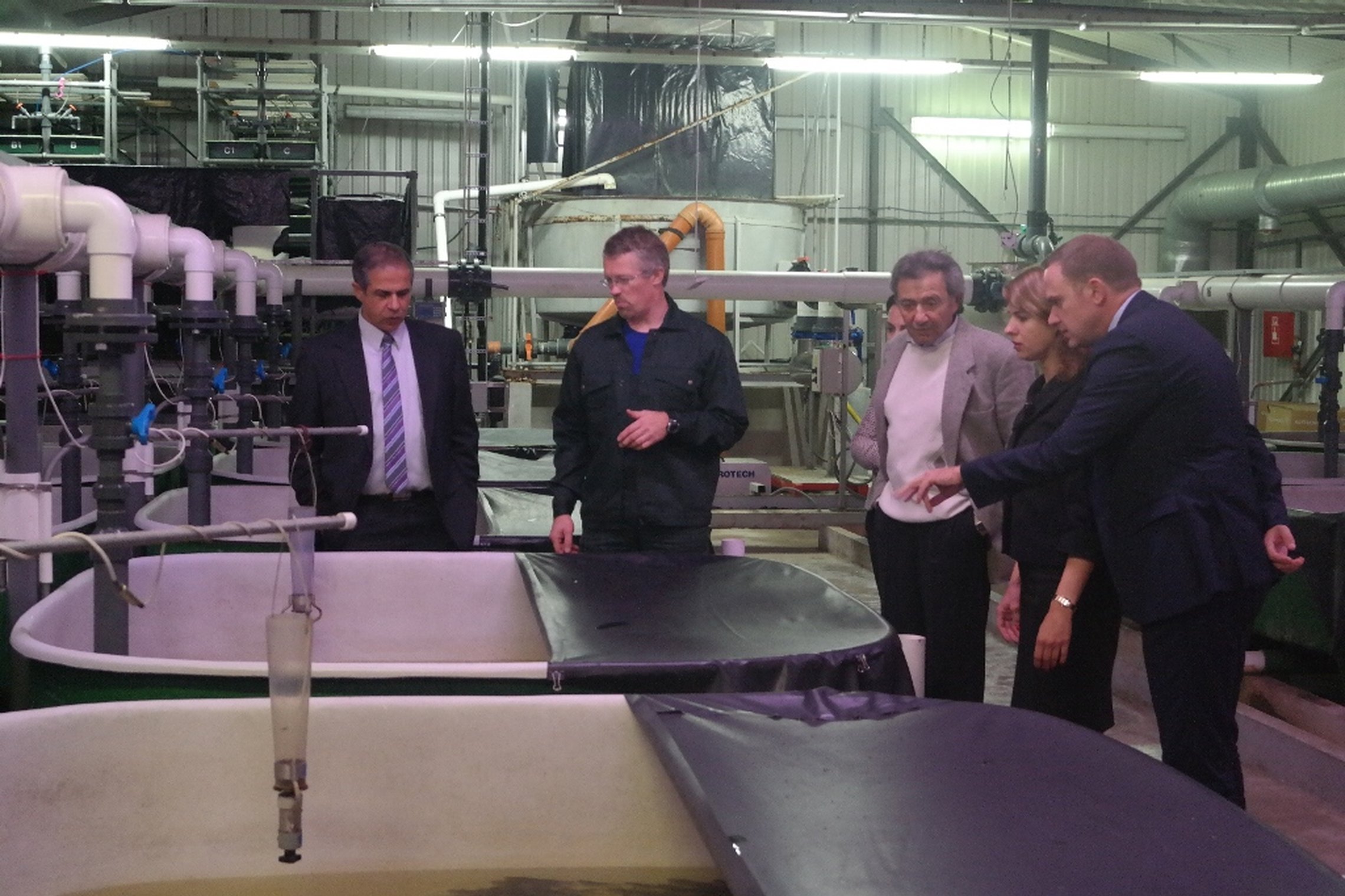 Iliustracija