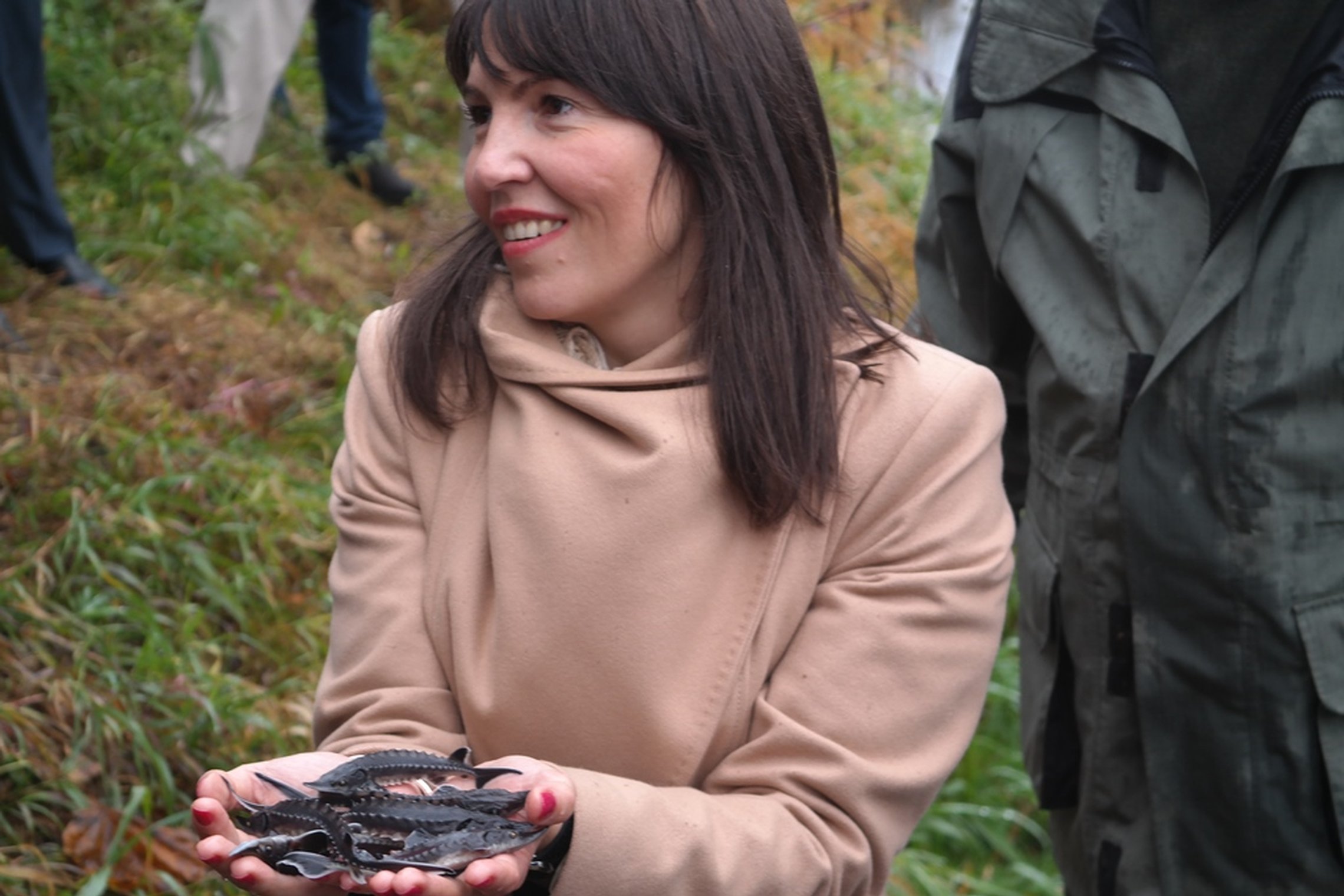 Iliustracija