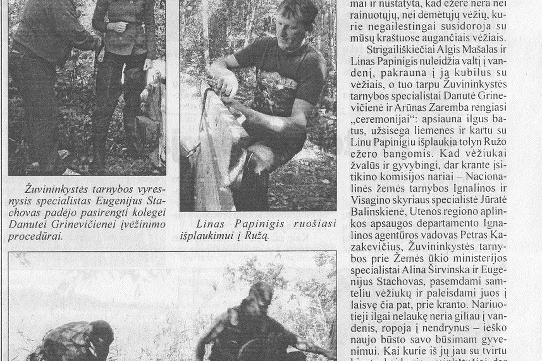 Iliustracija