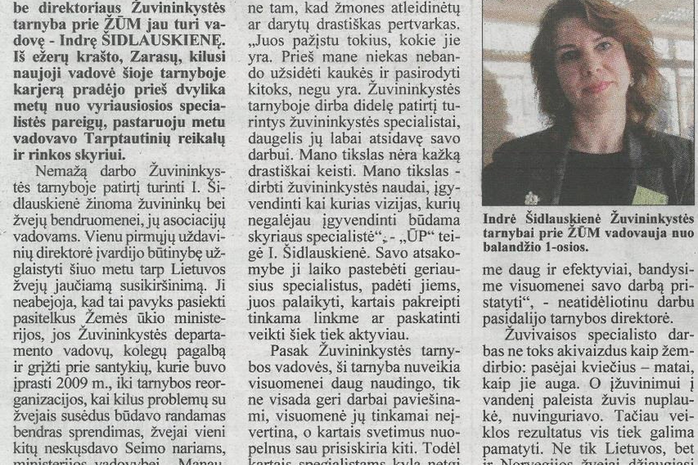 Iliustracija