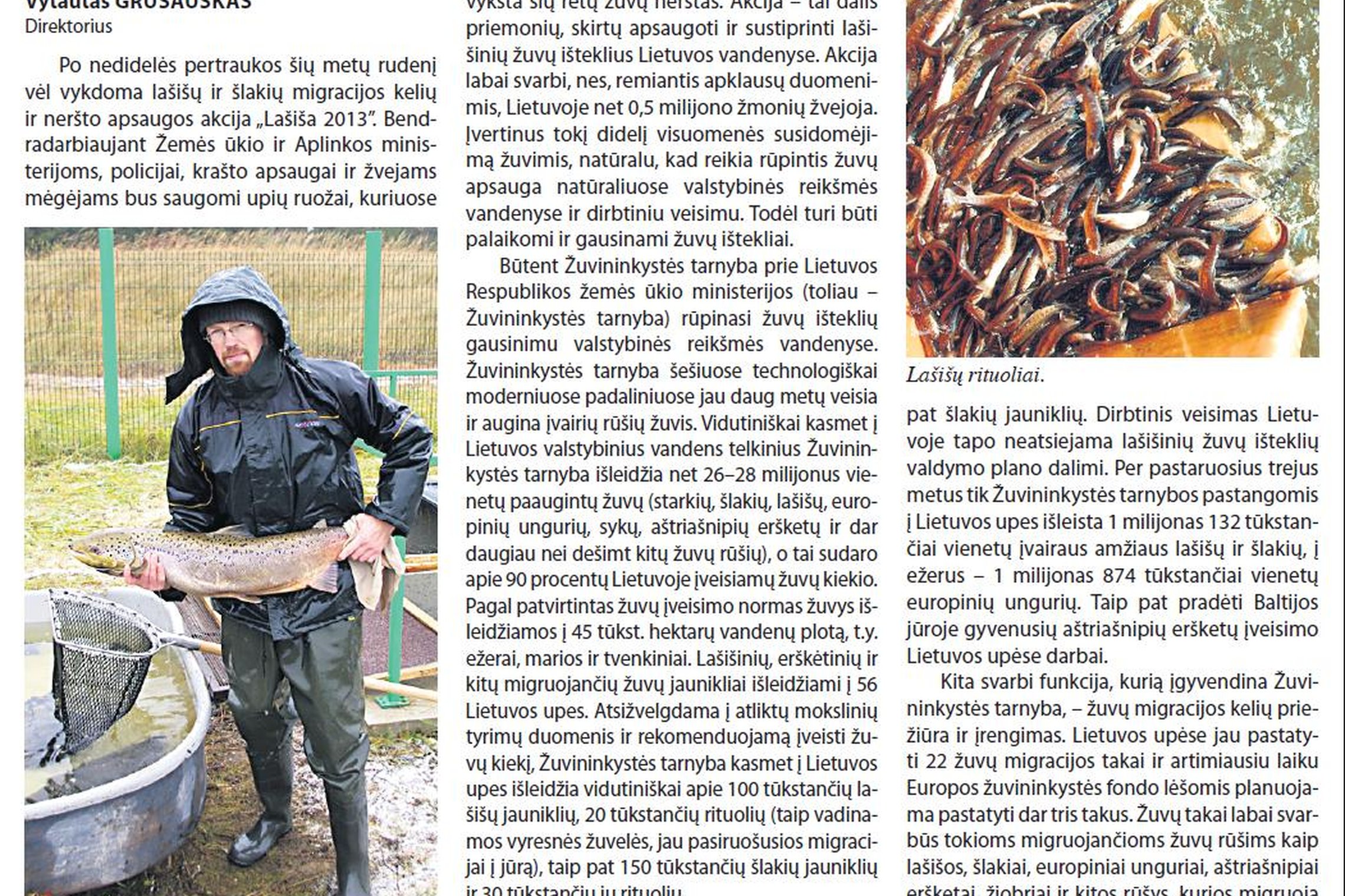 Iliustracija