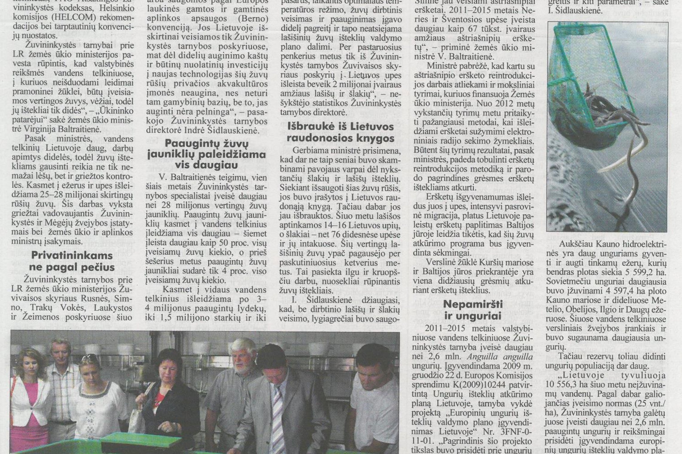 Iliustracija