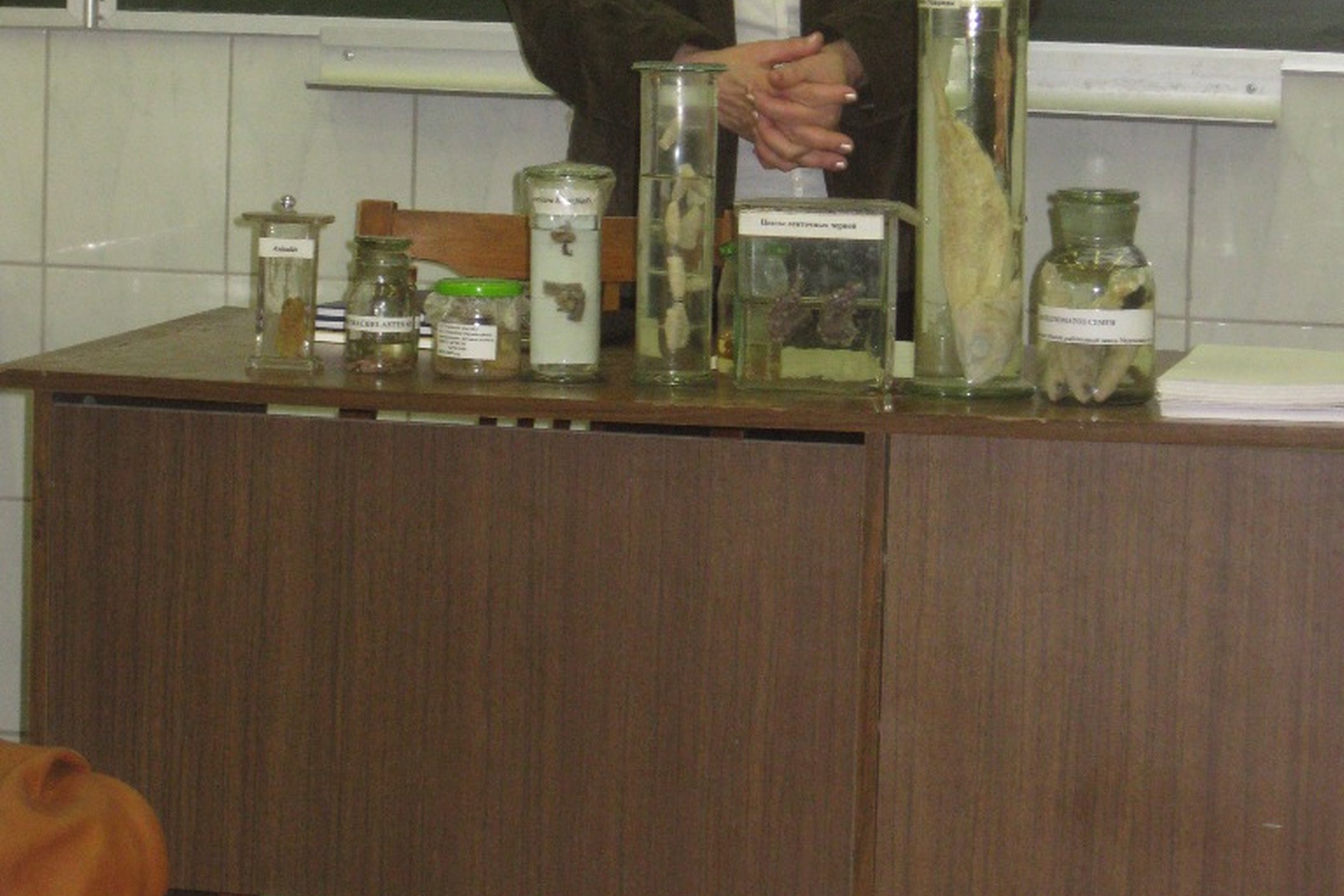 Iliustracija