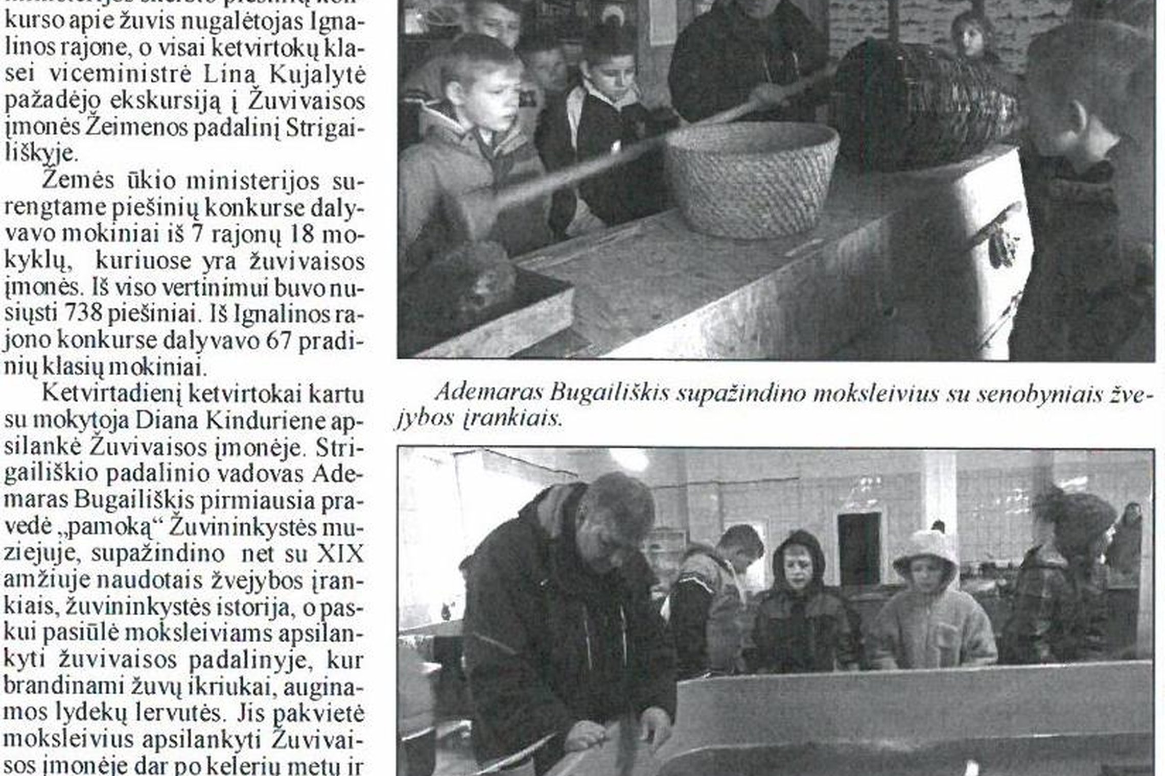 Iliustracija