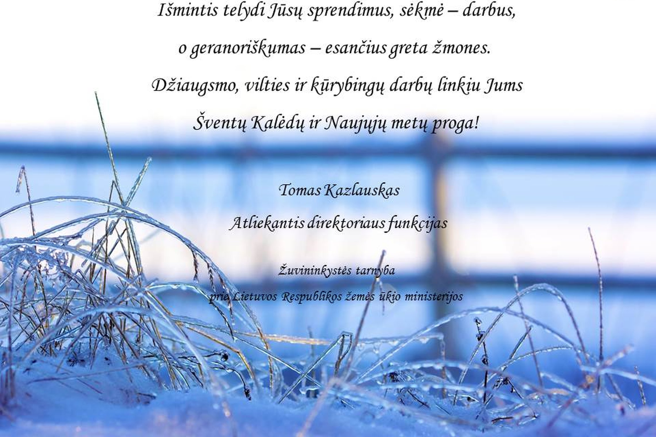 Iliustracija