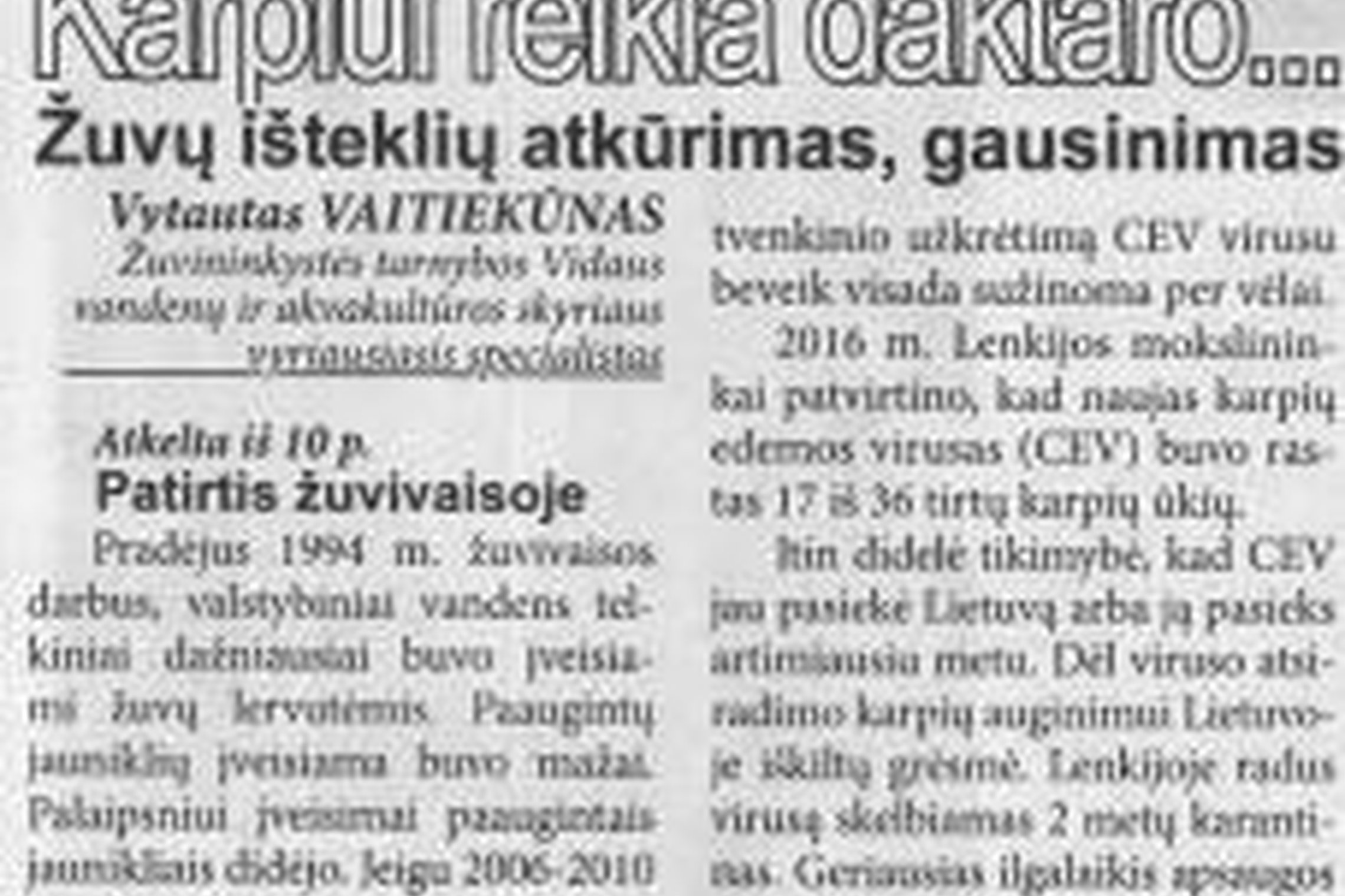 Iliustracija