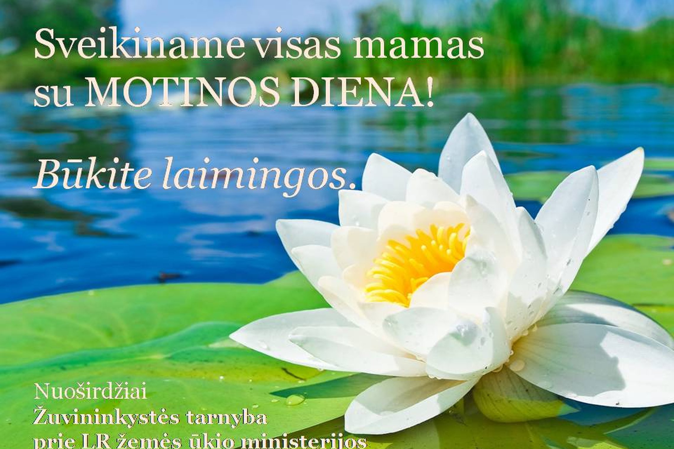 Iliustracija