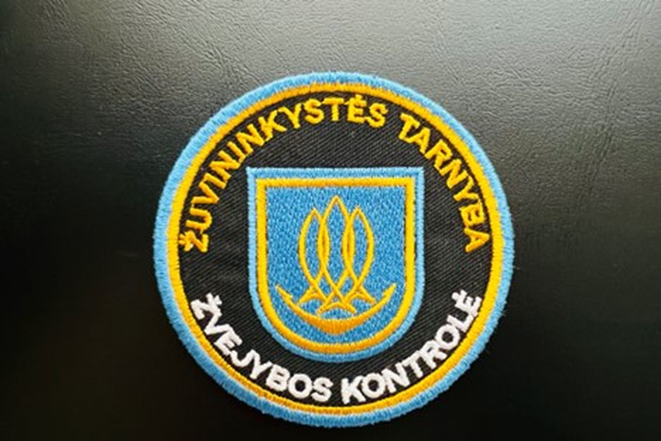Iliustracija