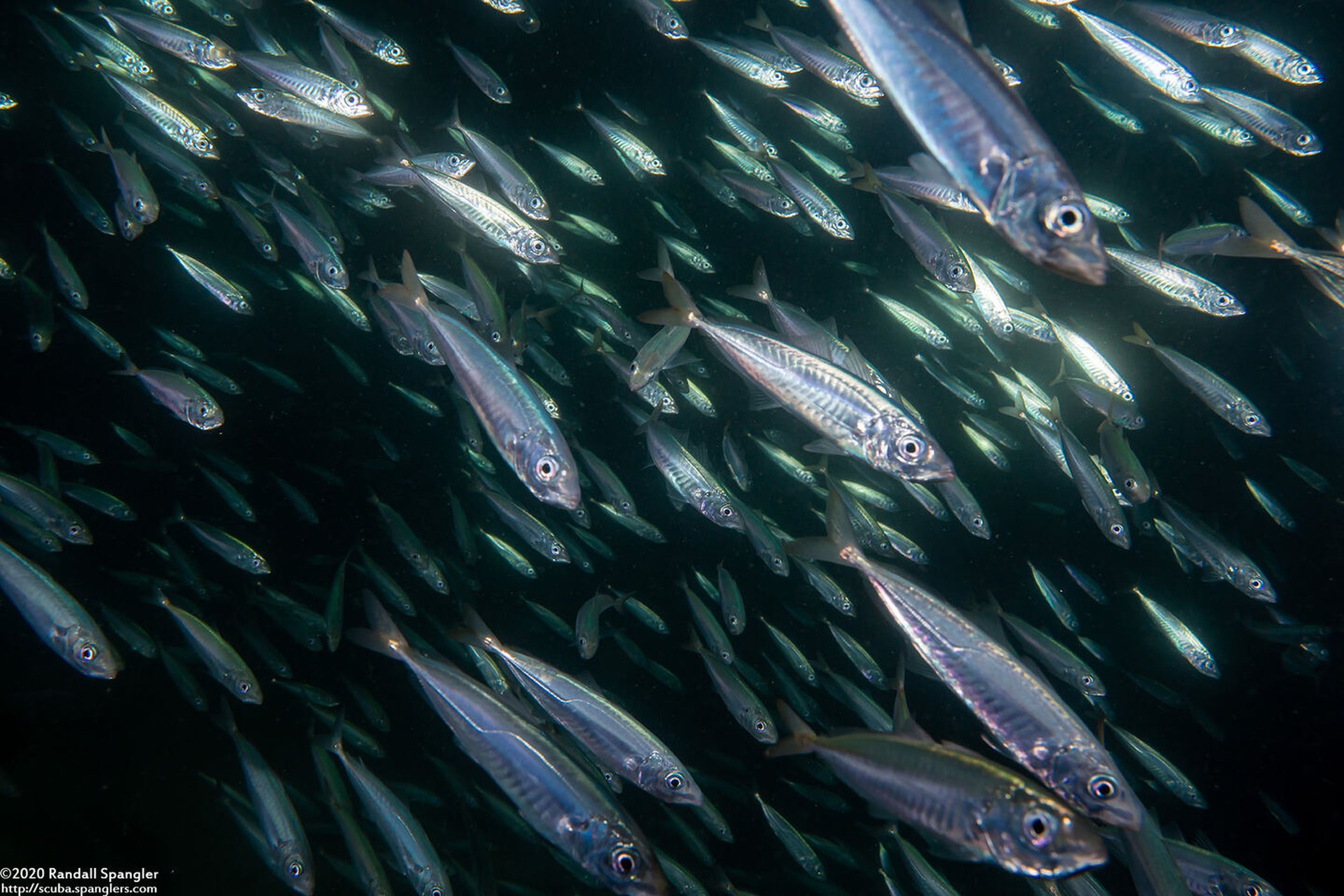 Iliustracija