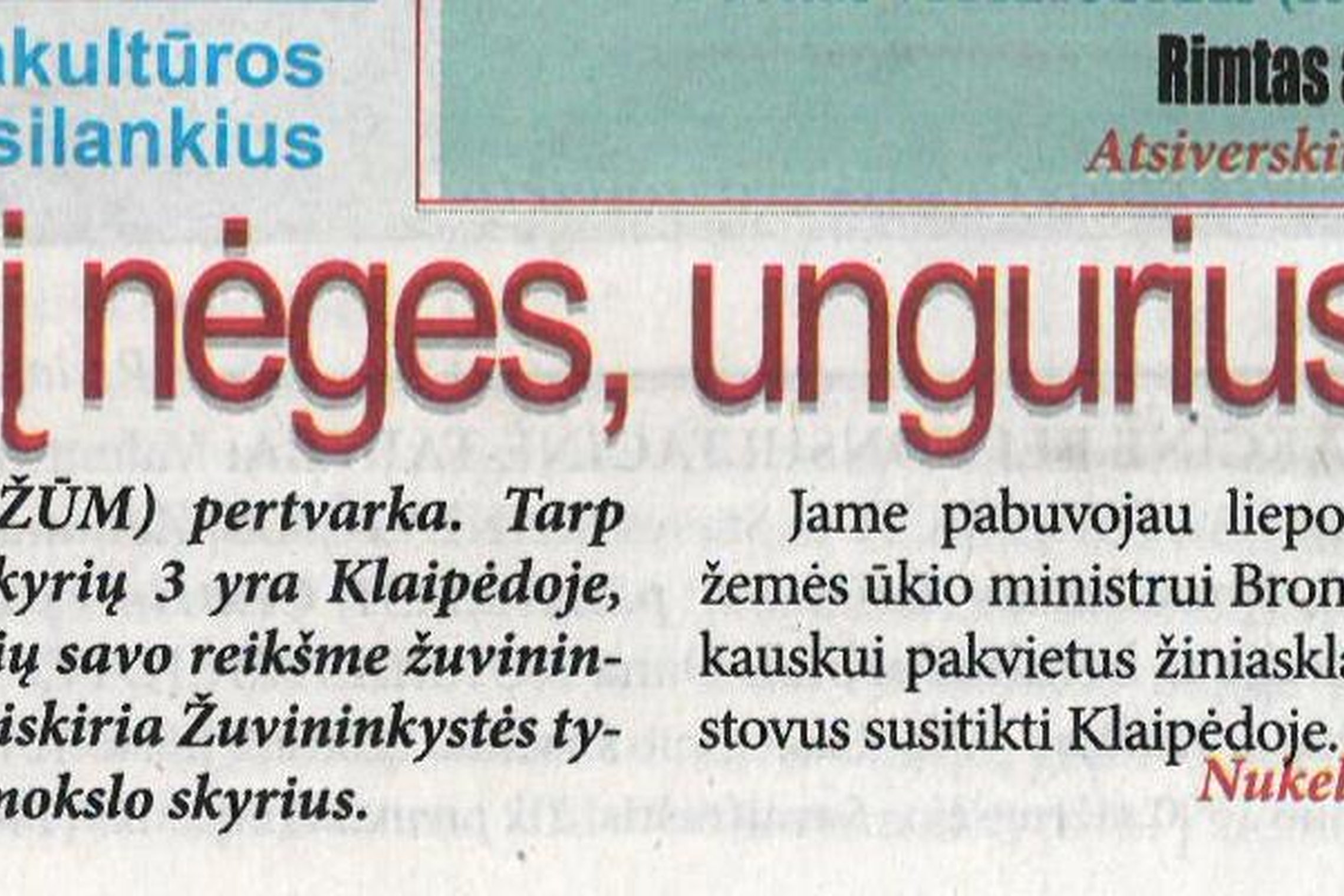 Iliustracija