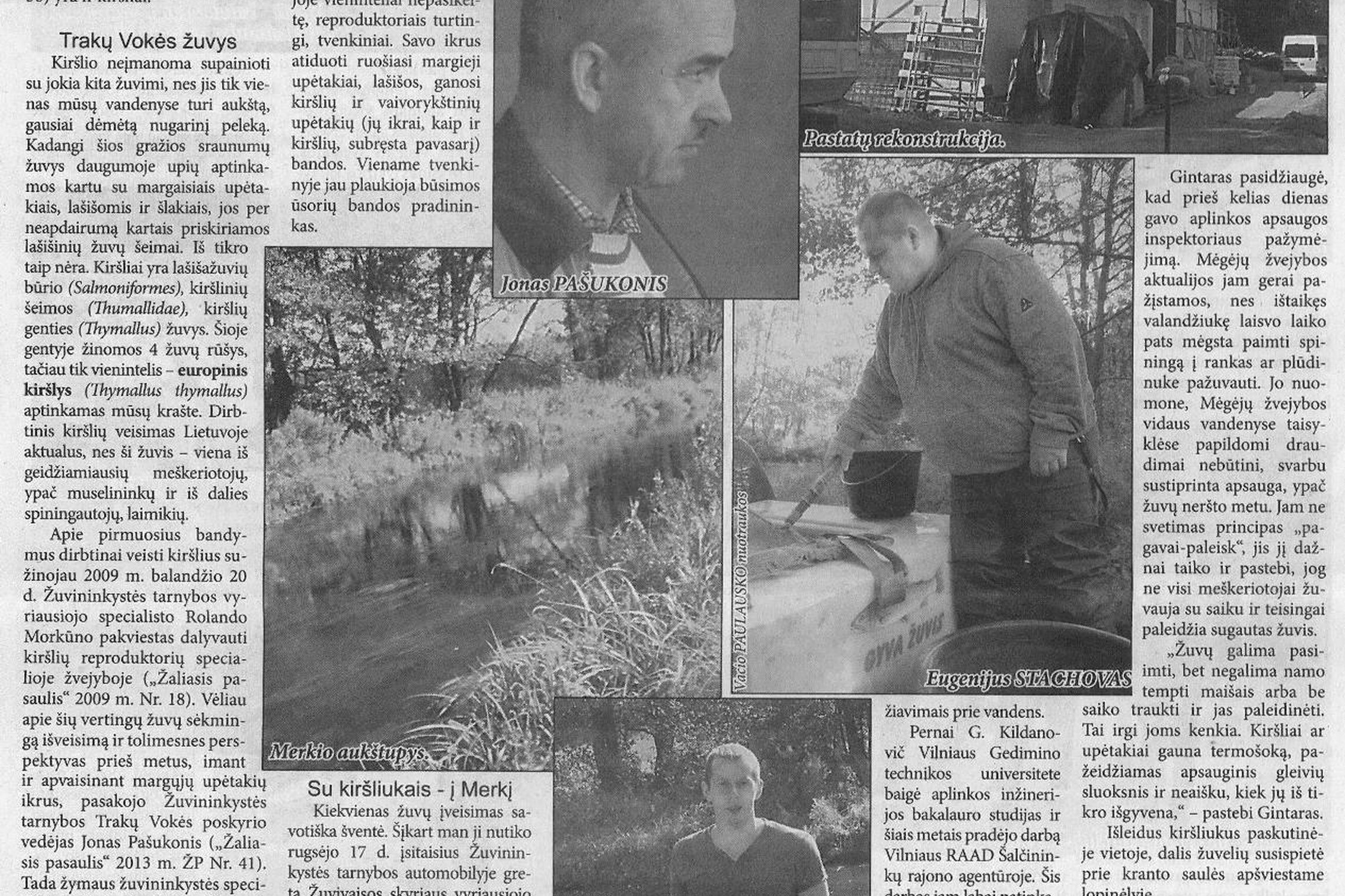 Iliustracija