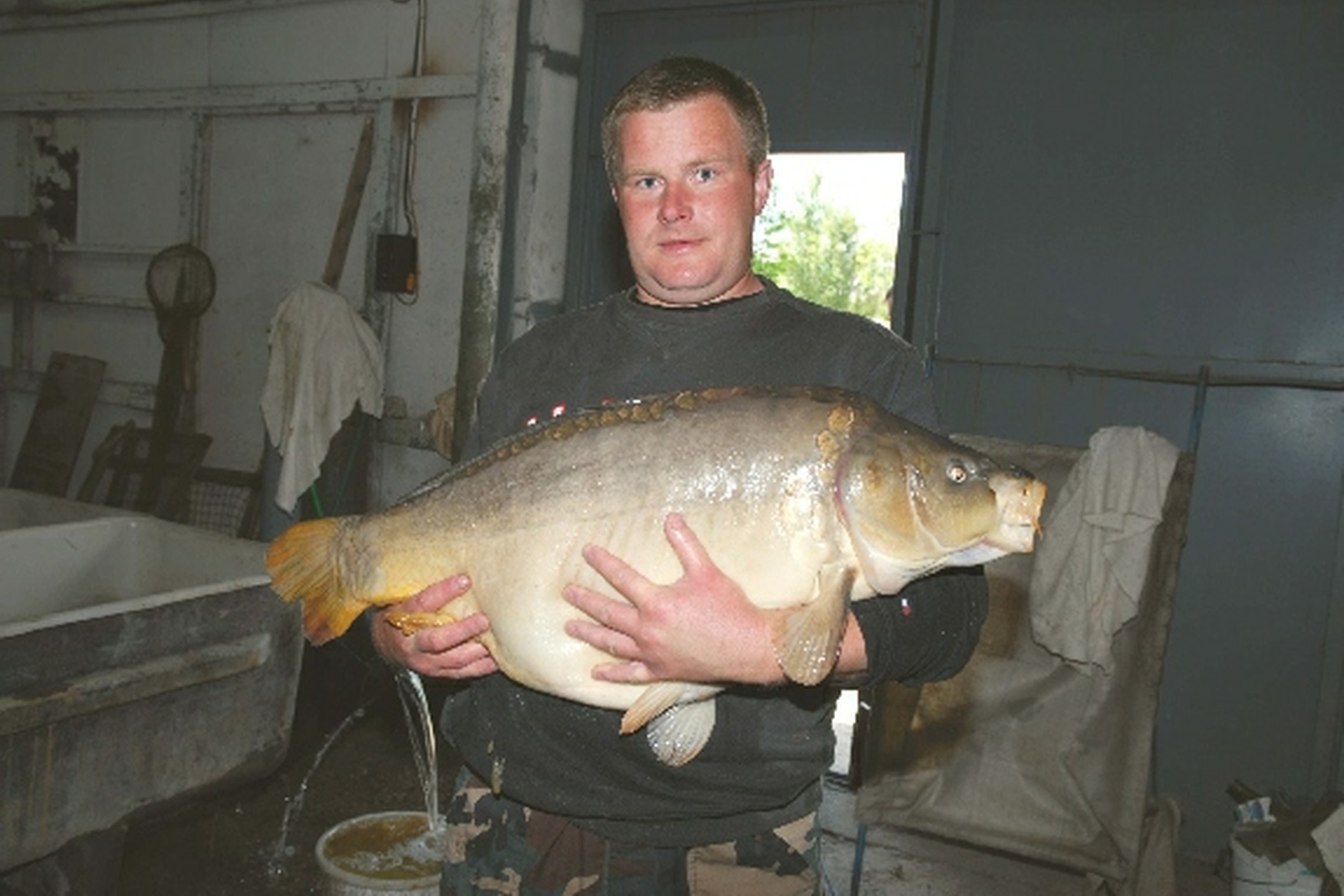 Iliustracija