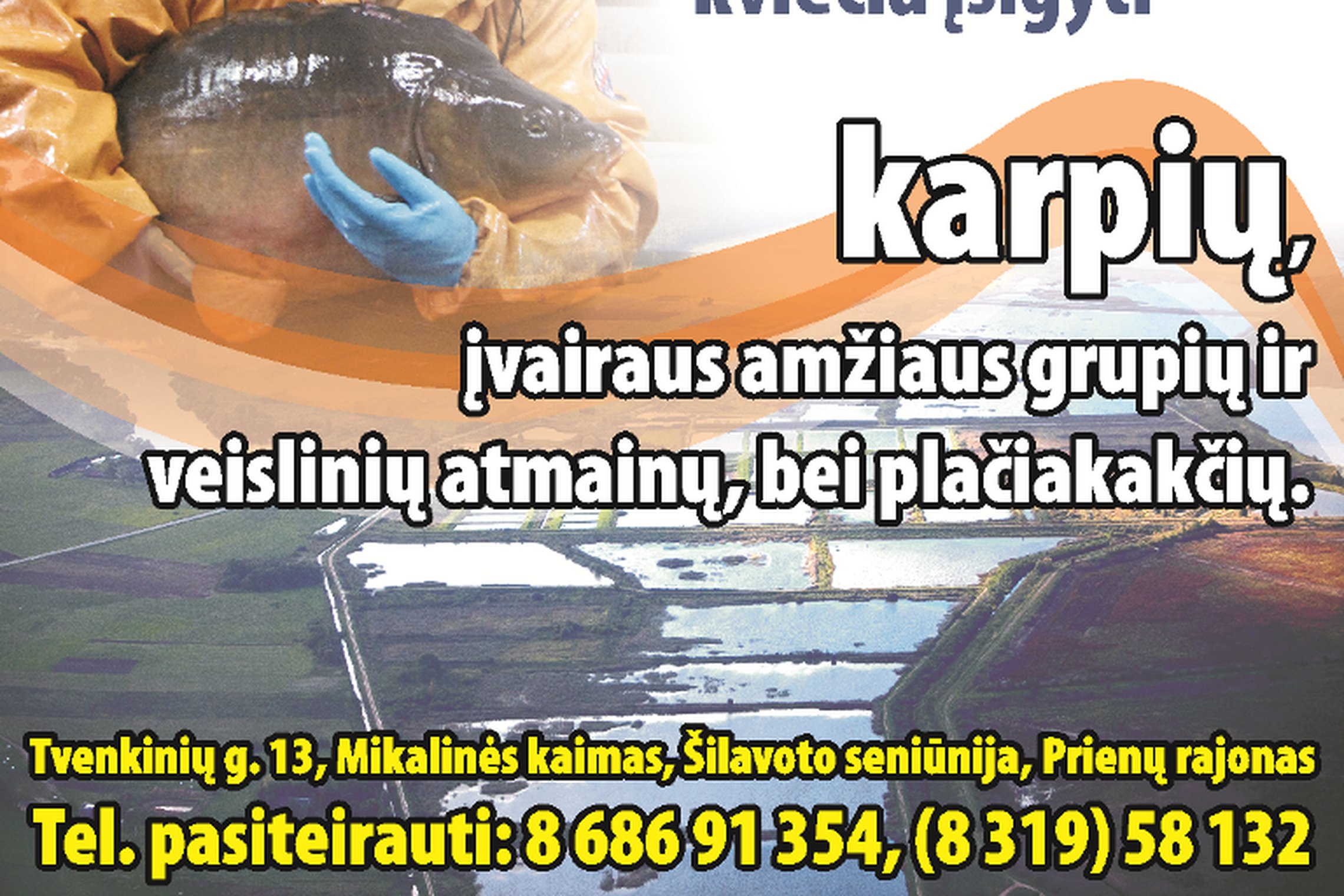 Iliustracija