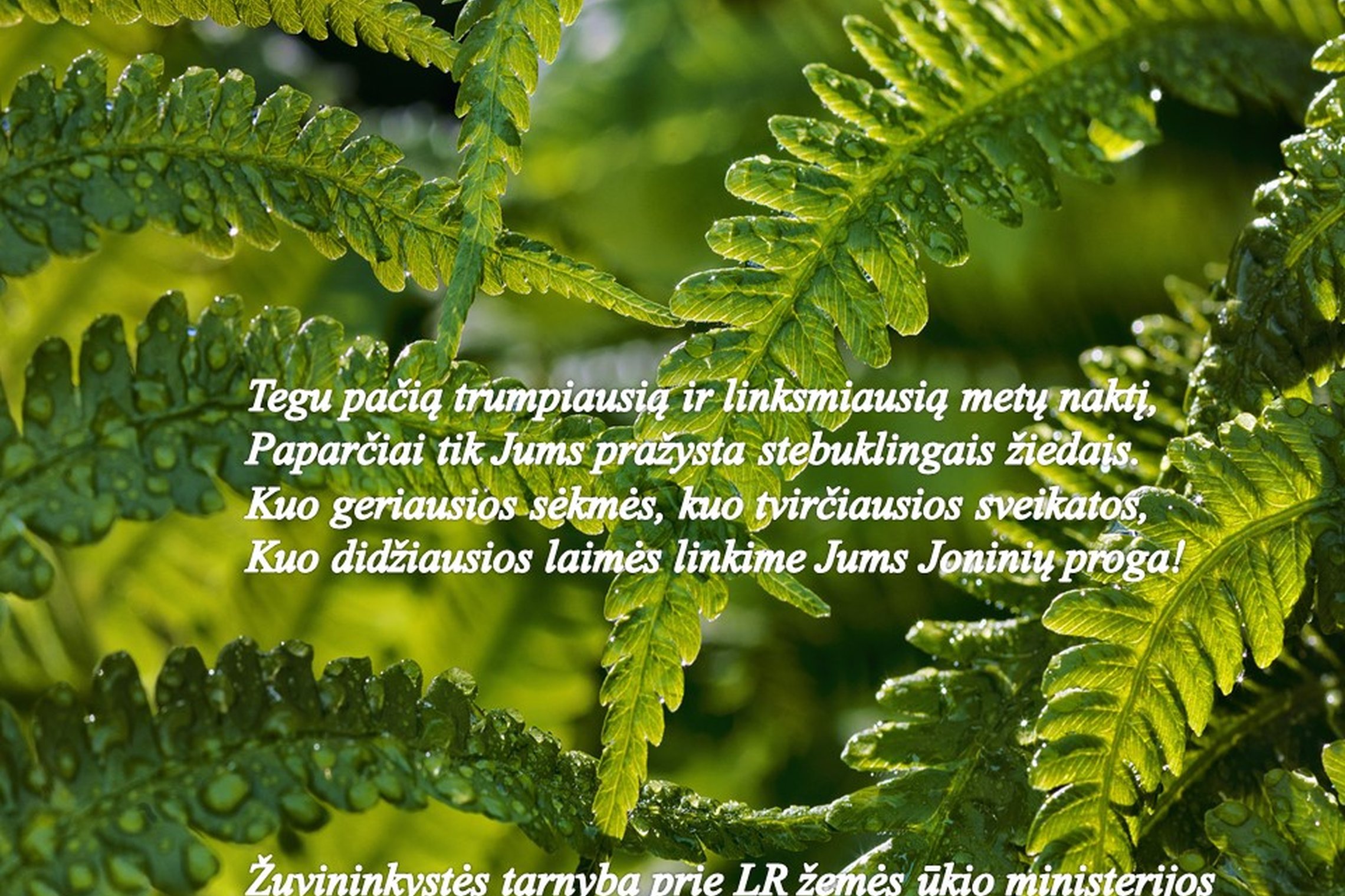 Iliustracija