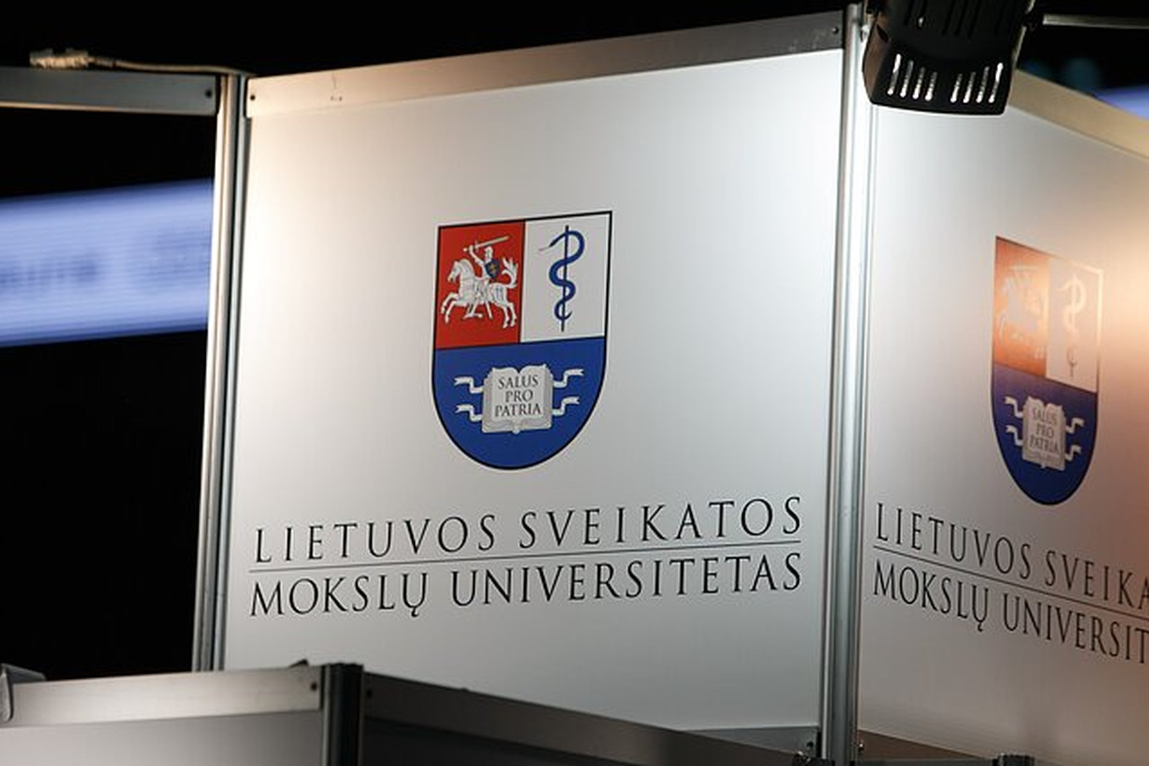Iliustracija