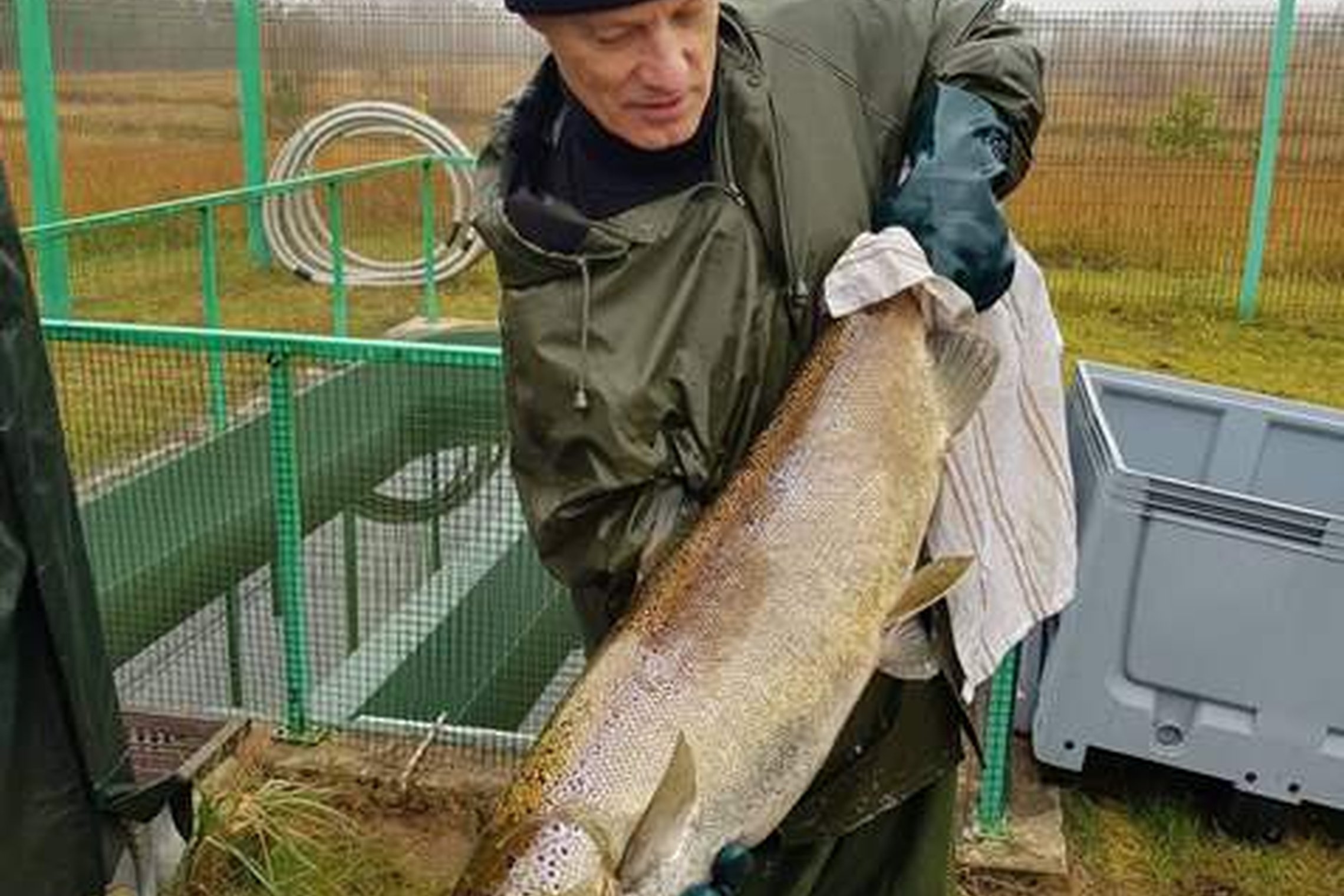 Iliustracija