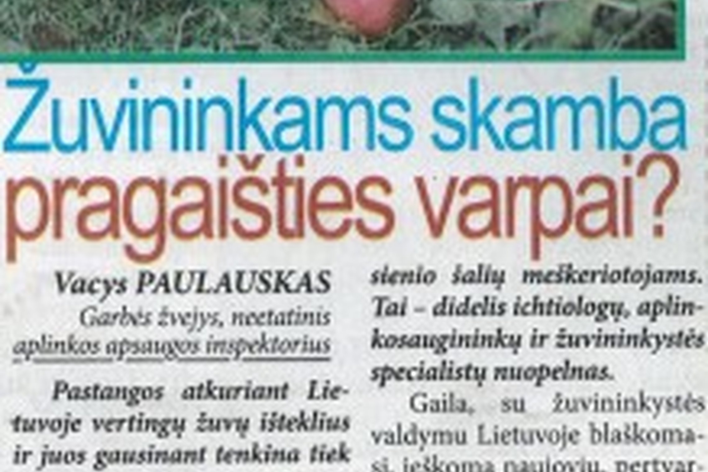 Iliustracija