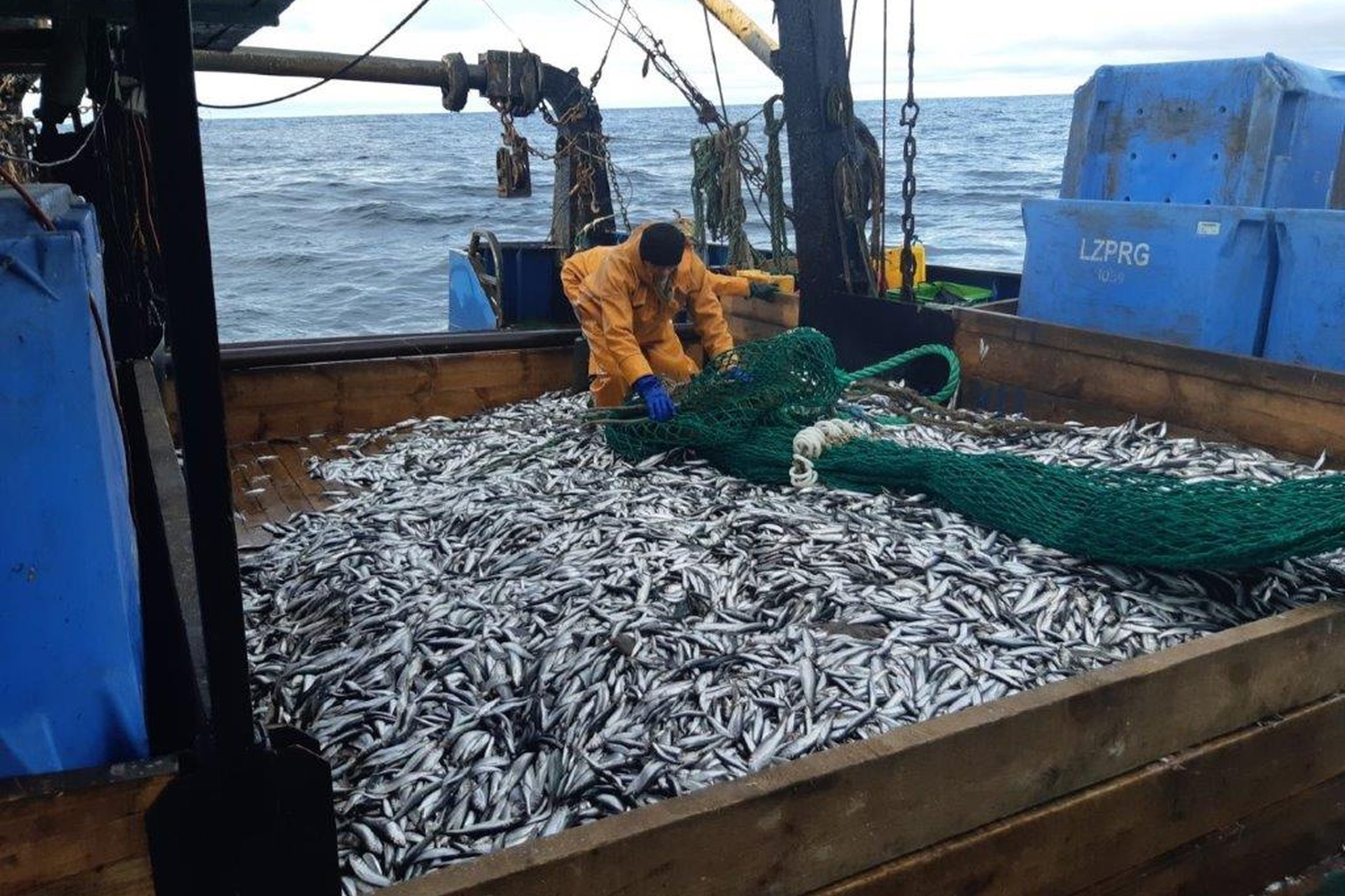 Iliustracija
