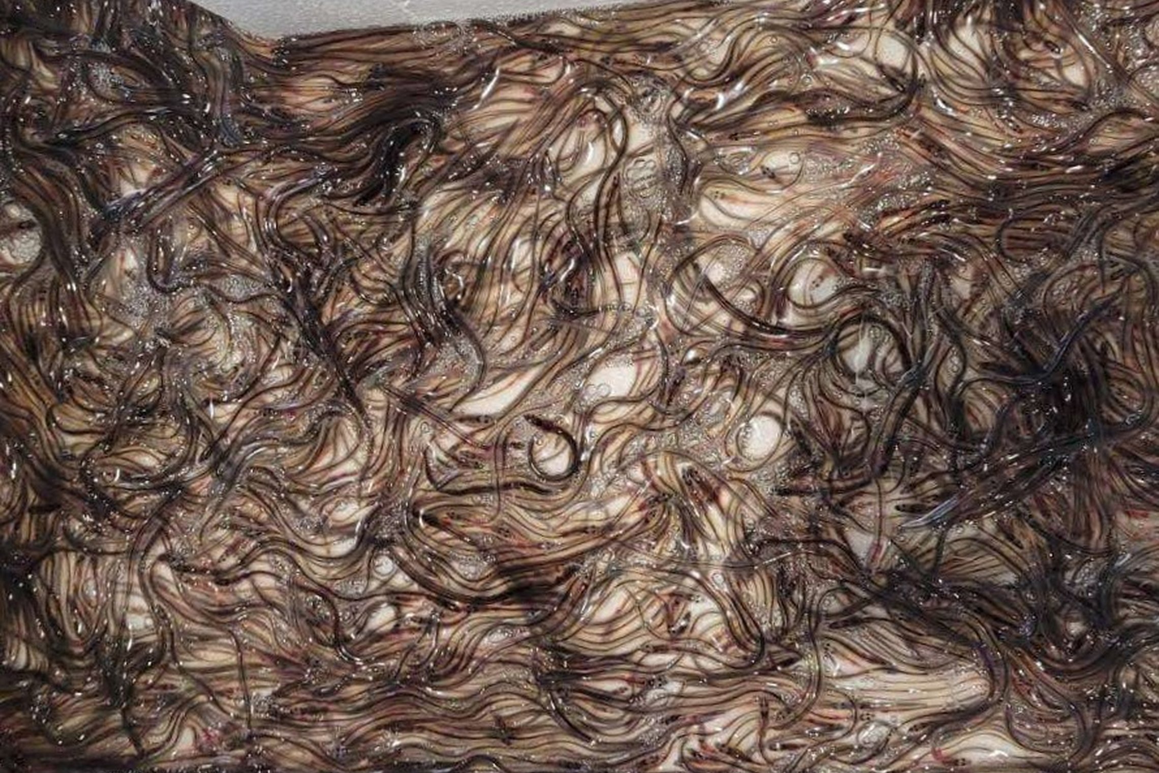 Iliustracija